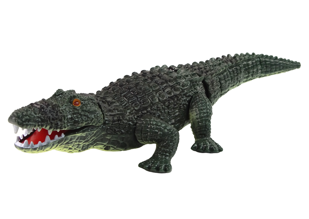 Lean toys nuotoliniu būdu valdomas krokodilas su žibintuvėliu