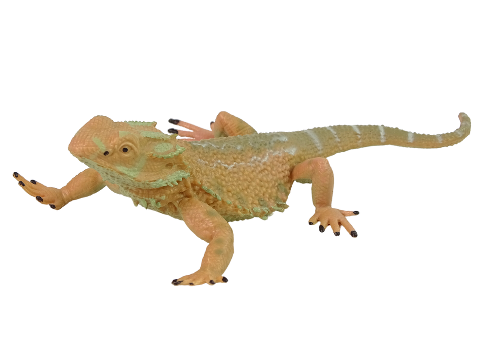 Figūrėlė Agama driežas LeanToys