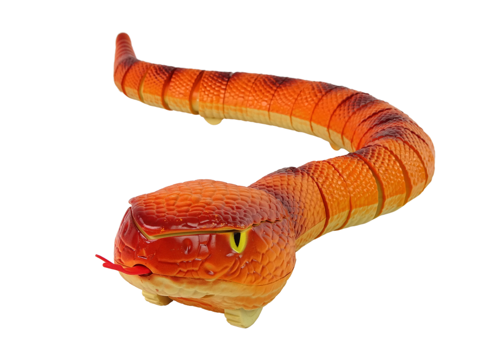 Interaktyvi gyvatė anakonda 70 cm r/c, oranžinė