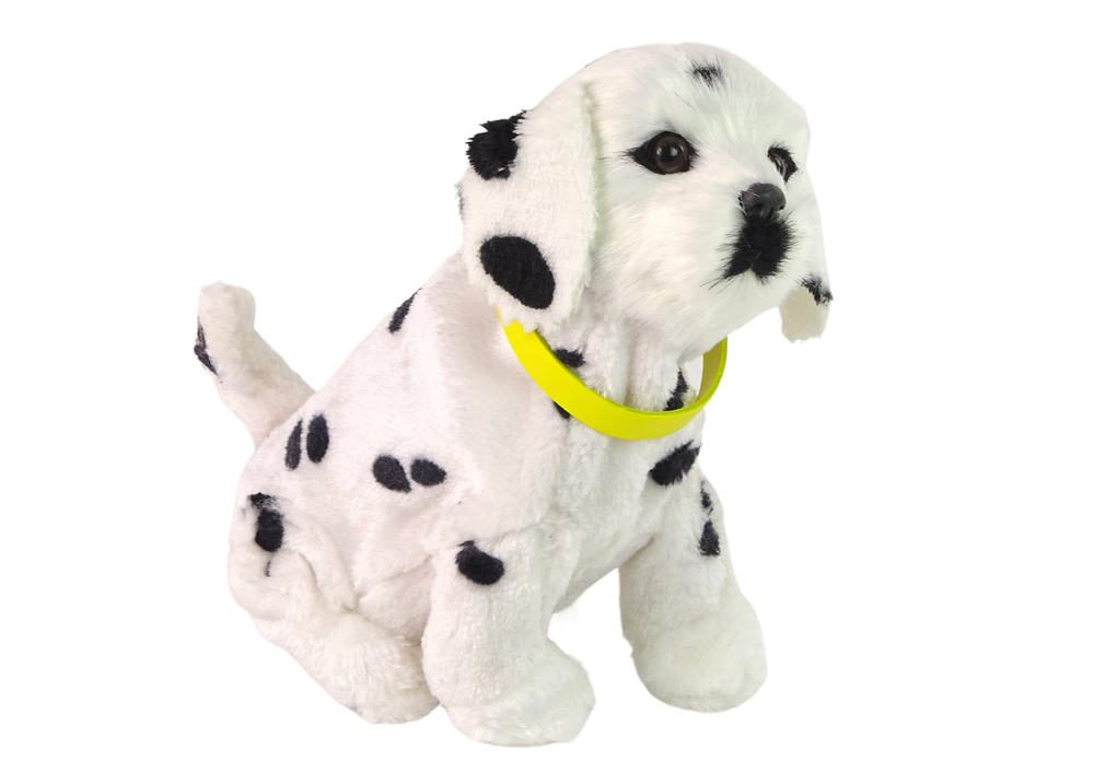 Interaktyvus šuo dalmatian breed, baltas