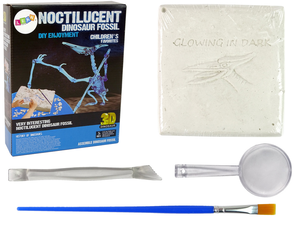 Archeologijos kasinėjimų rinkinys dinozauro skeletas pteranodon 3d holograma