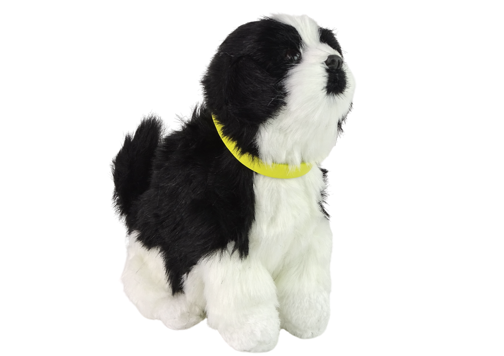 Interaktyvus žaislinis šuo border collie, juodai baltas, su garso ir judesio funkcijomis