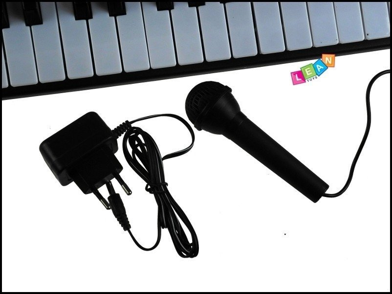 Pianinas su mikrofonu mq-810 mp3