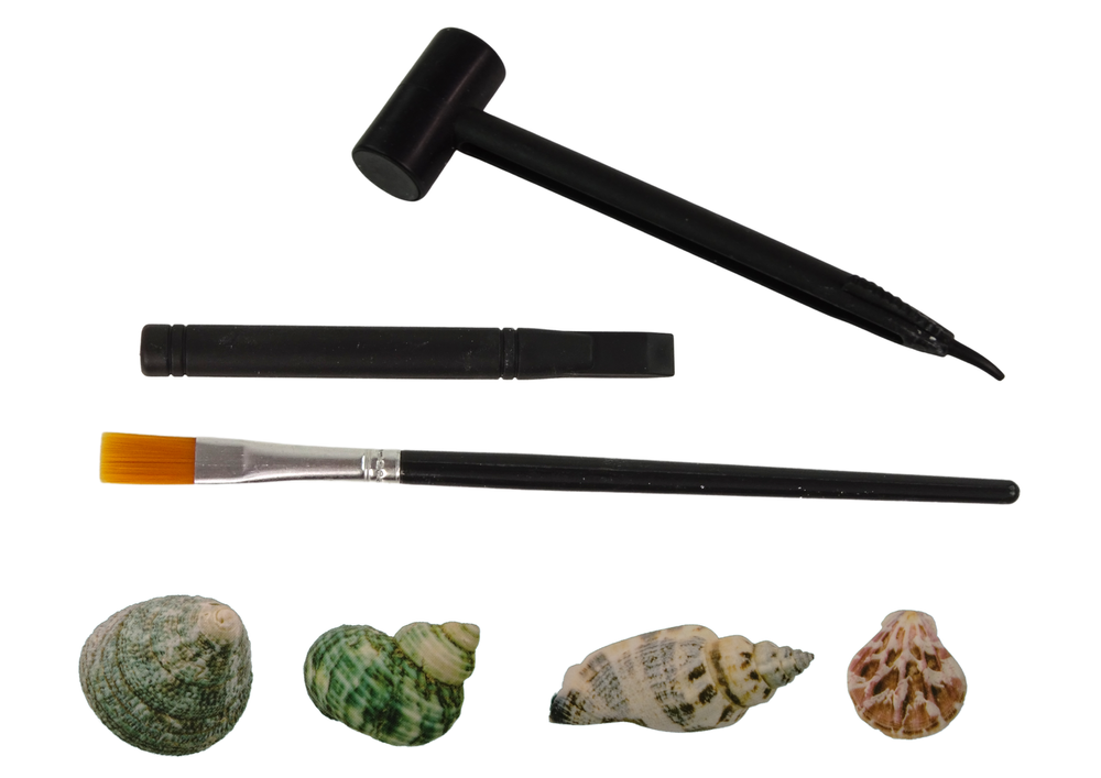 Kriauklių kasimo rinkinys lean toys