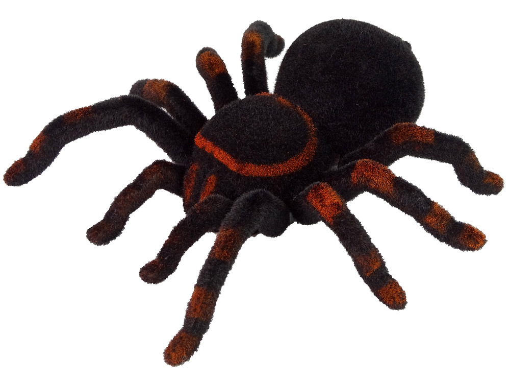 Nuotoliniu būdu valdomas voras tarantula black r/c spider, juodas