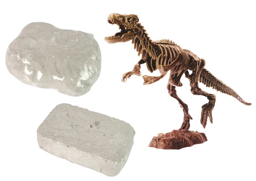 Archeologo rinkinys Tyrannosaurus 2-in-1
