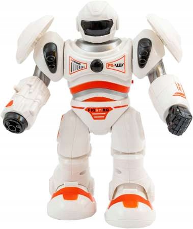9062 interaktyvus robotas
