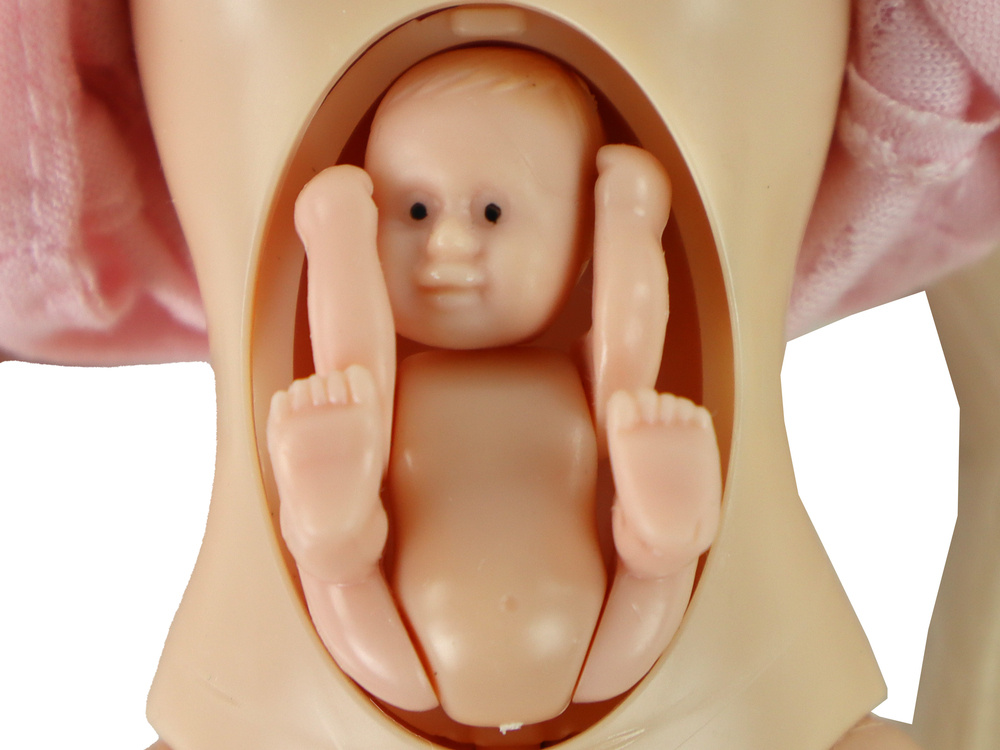 Lėlė su besilaukiančia mama ir tėčiu kevin ir lucy