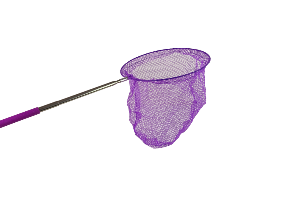 Tinklelis drugeliams gaudyti, violetinis