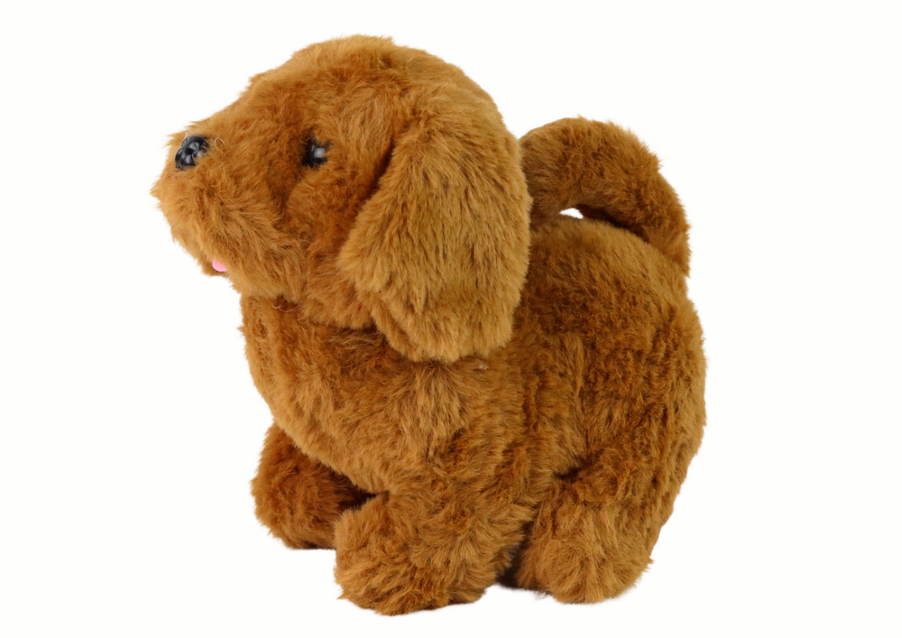 Interaktyvus žaislas lean toys šuo