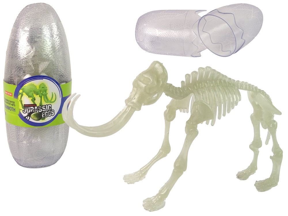 3D dinozauro skeletas kiaušinyje Lean Toys, 1vnt
