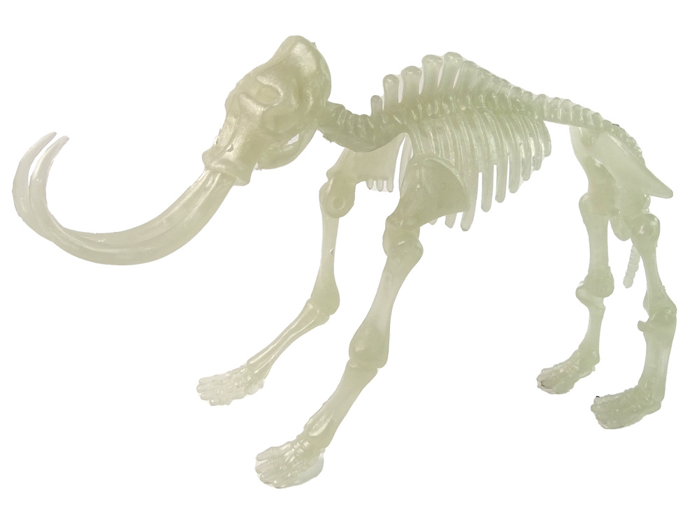 3D dinozauro skeletas kiaušinyje Lean Toys, 1vnt
