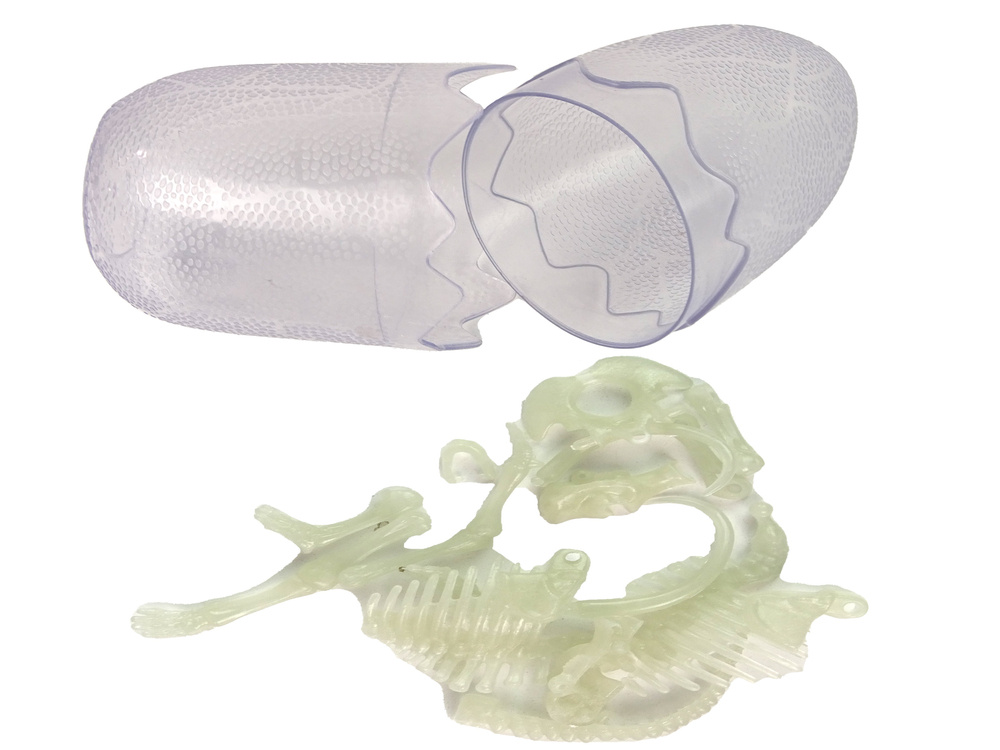 3D dinozauro skeletas kiaušinyje Lean Toys, 1vnt