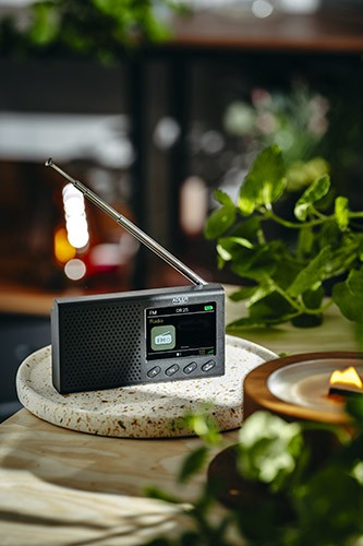 Radijo imtuvas Adler AD-1198