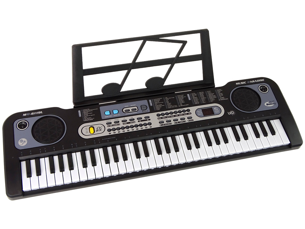 Pianinas su mikrofonu leantoys