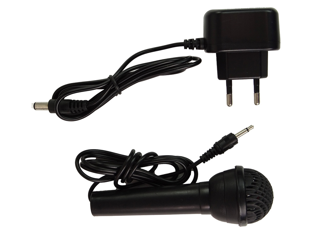 Pianinas su mikrofonu leantoys