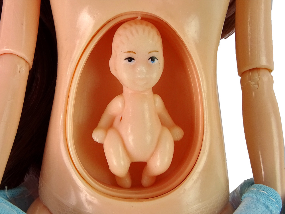 Nėščia lėlė leantoys
