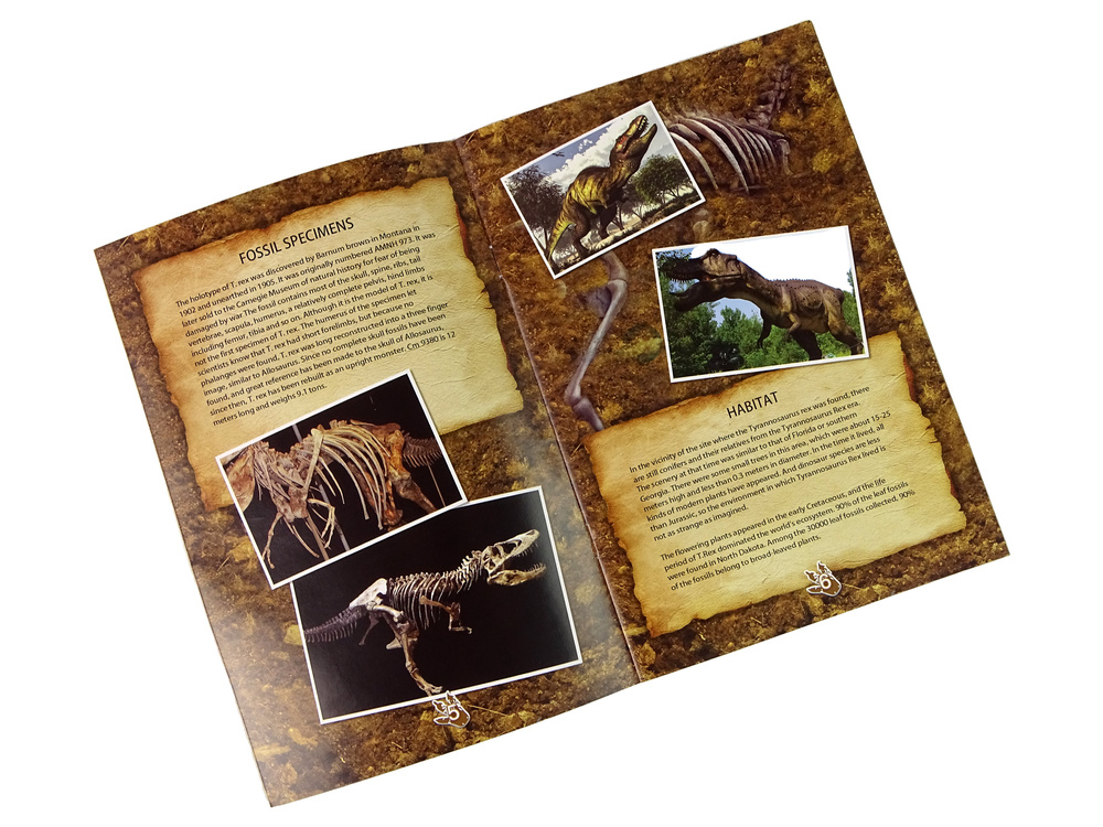 Edukacinis rinkinys fosilija dinozauras tyrannosaurus lean toys