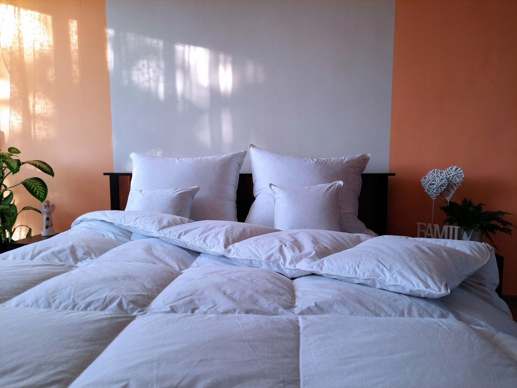  “Pūkinė antklodė 200x200 cm itin plona 600 g”