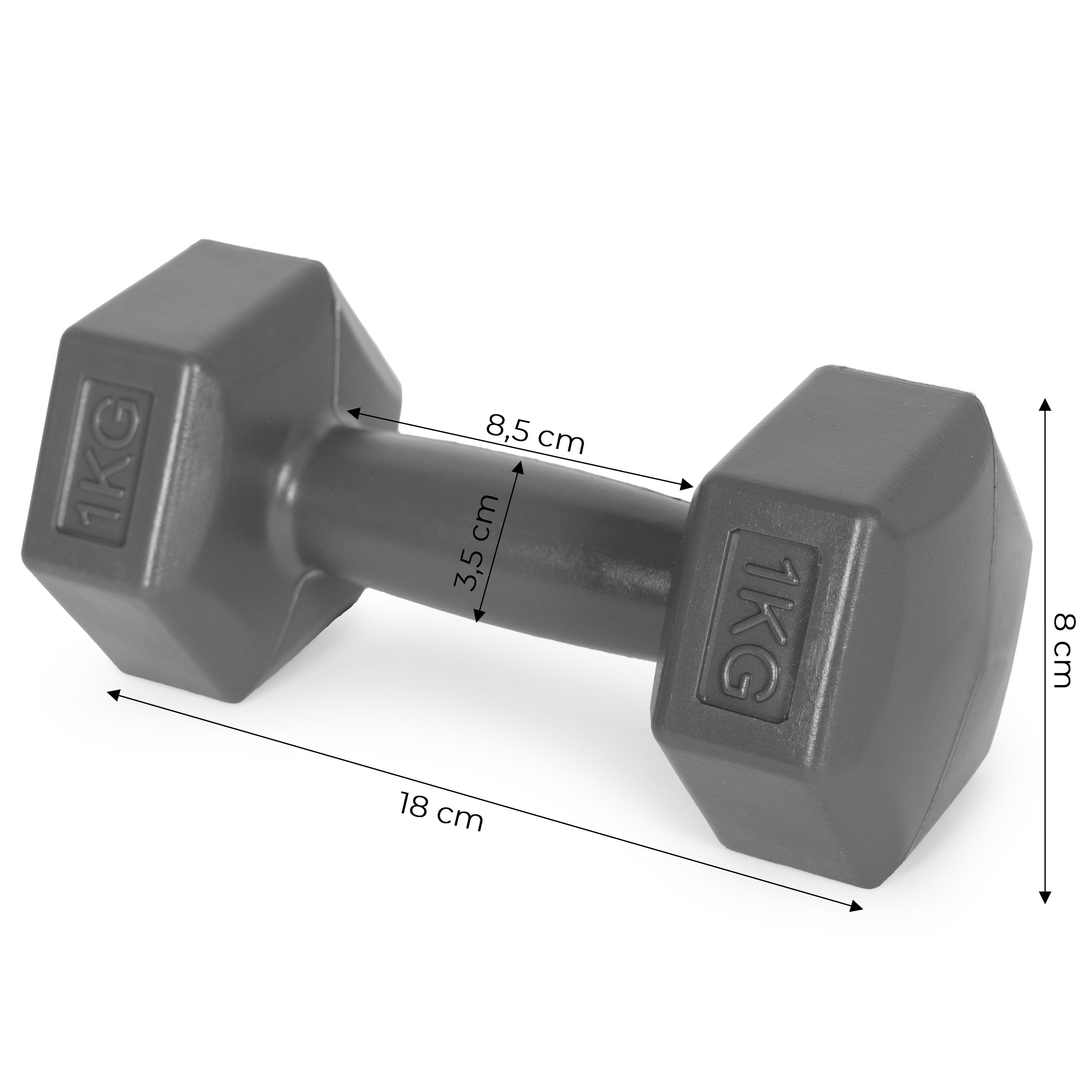 Šešiakampiai hantelia 2x1 kg  modernhome