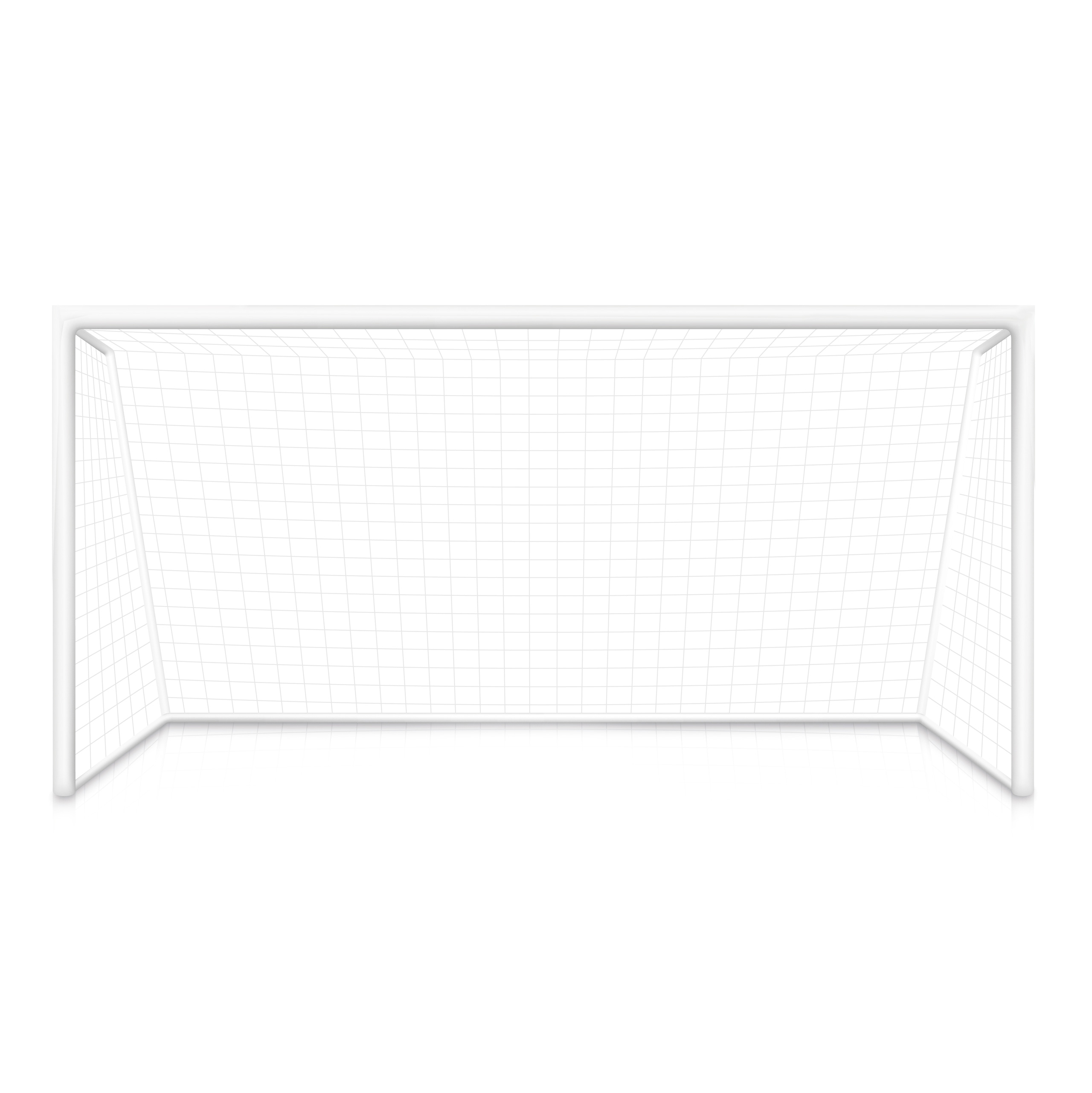 Vaikiškos futbolo vartai 300x160 cm su tinkleliu ecotoys