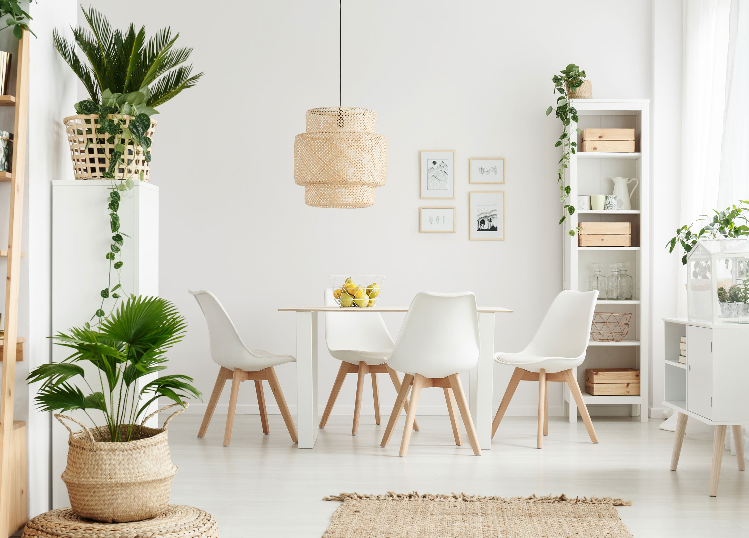 4-ių kėdžių komplektas ModernHome, baltas
