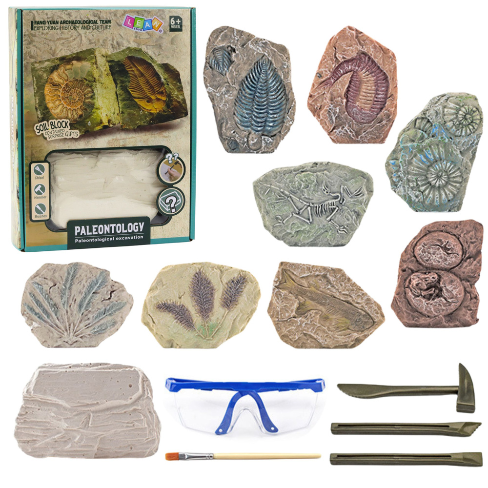 Paleontologijos kasinėjimo rinkinys su tinko bloku ir įrankiais