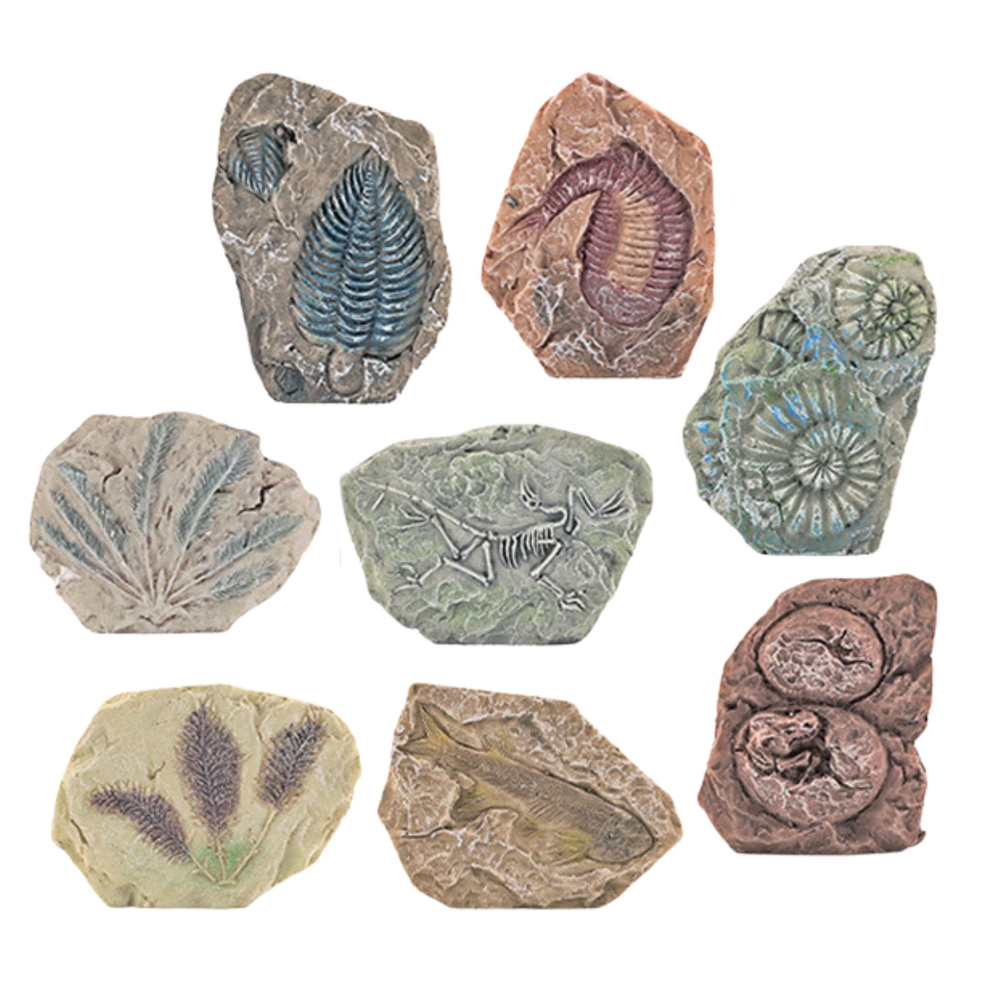 Paleontologijos kasinėjimo rinkinys su tinko bloku ir įrankiais