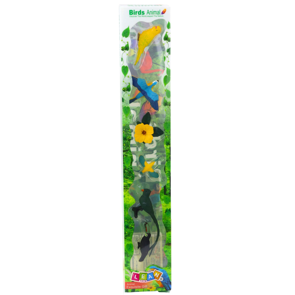 Edukacinis egzotinių paukščių figūrėlių rinkinys 4-11 cm 6 vnt.