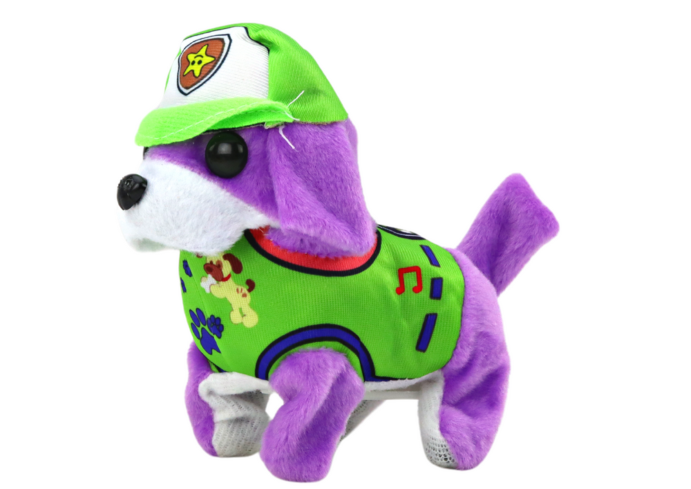 Pliušinis žaislas šuo, lean toys