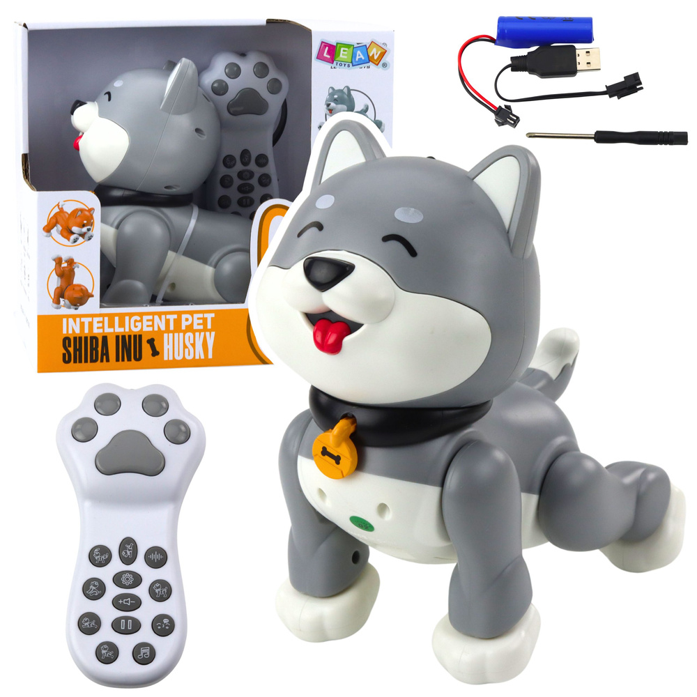 Interaktyvus husky robotukas su nuotoliniu valdymu