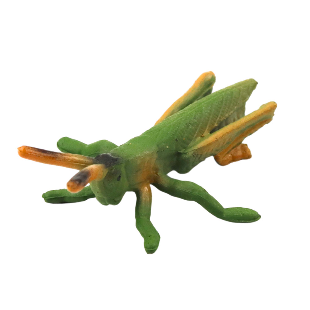 Švietėjiškas vabzdžių figūrėlių rinkinys 4-6 cm 6 vnt.