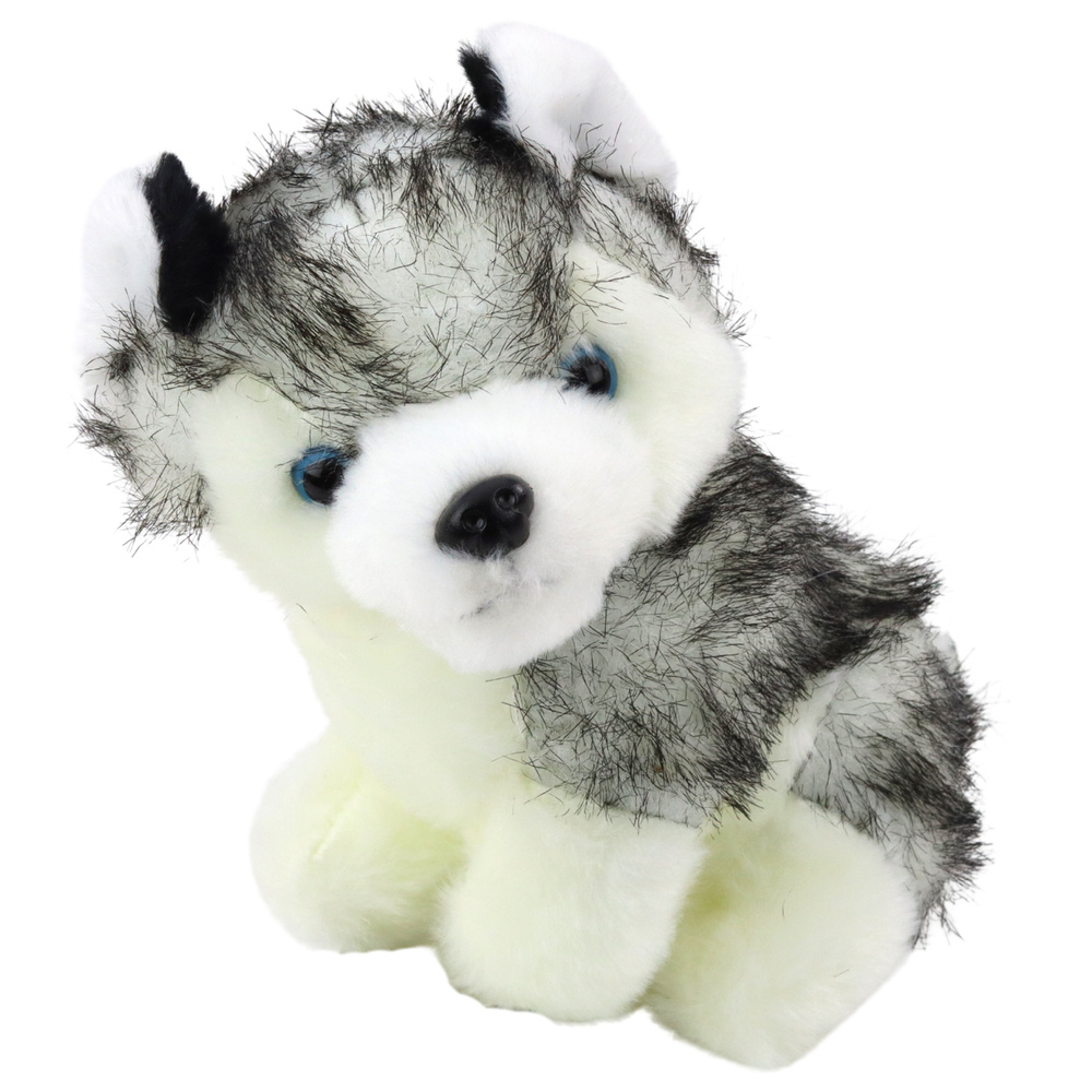 Pliušinis šuo husky maišelyje