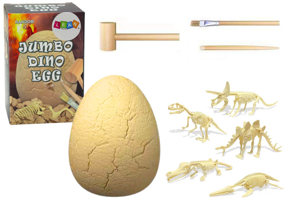 Archeologijos rinkinys dinozaurų kiaušinių fosilės