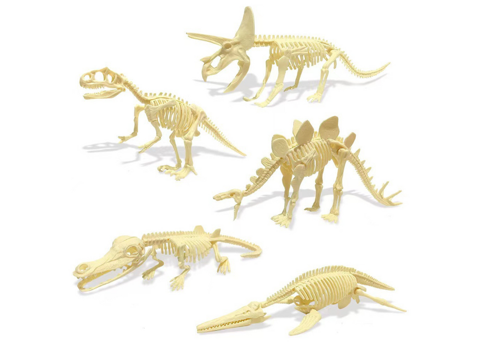 Archeologijos rinkinys dinozaurų kiaušinių fosilės 1