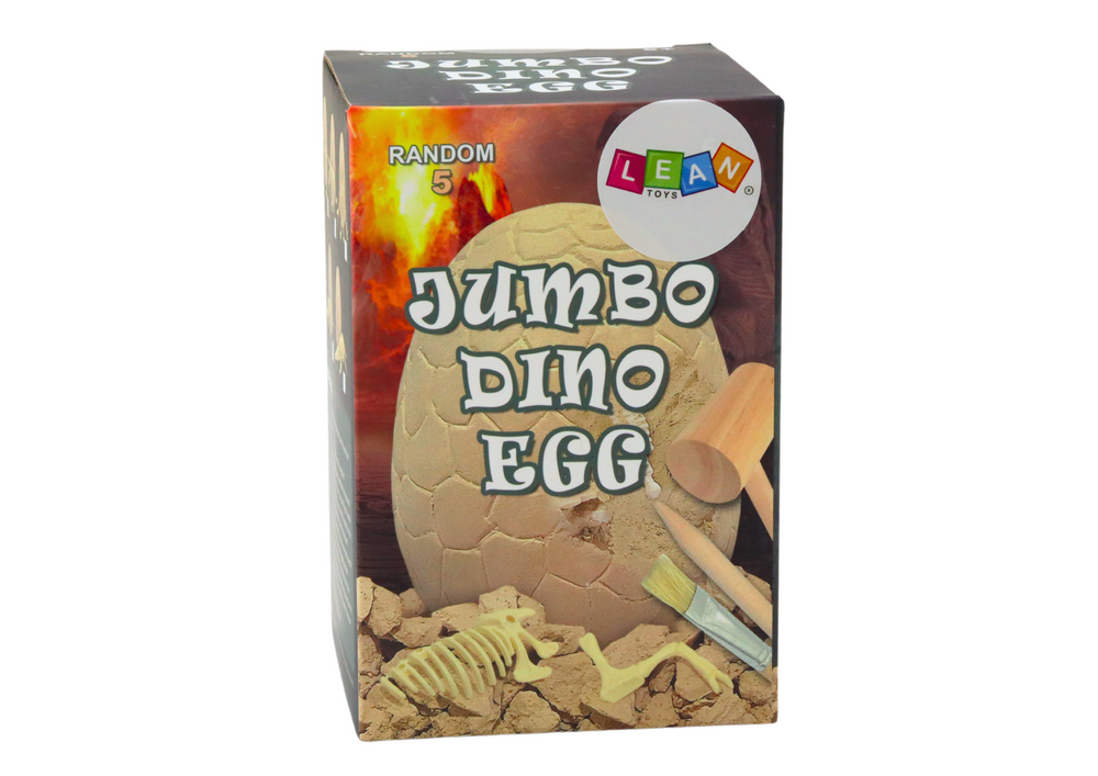 Archeologijos rinkinys dinozaurų kiaušinių fosilės 3