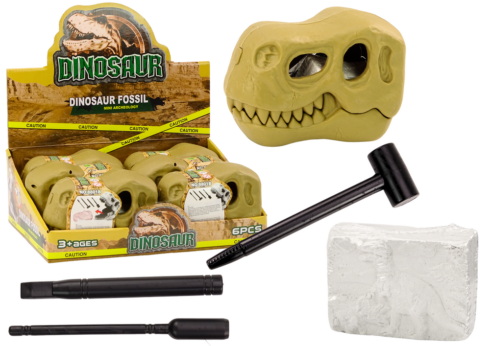 Archeologinis dinozaurų fosilijų rinkinio rinkinys