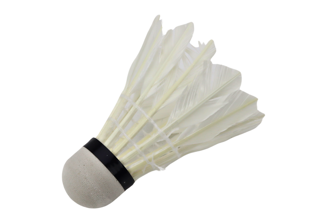 Badmintono skrajukai Shuttlecocks, 3 vnt, balti