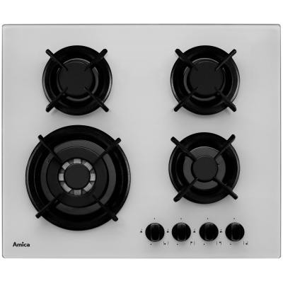 Dujinė kaitlentė amica pg6411srw
