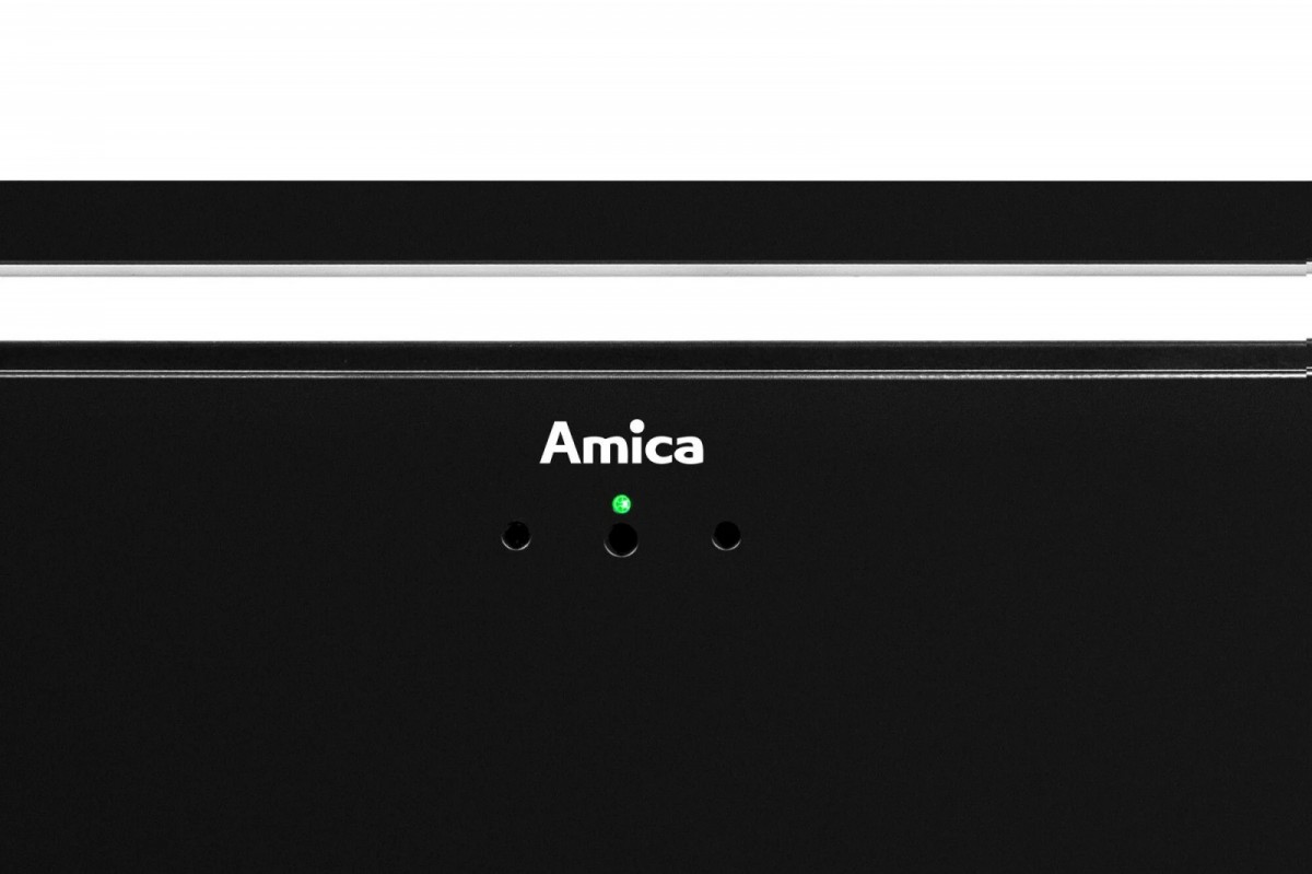 Gartraukis amica omc6751b