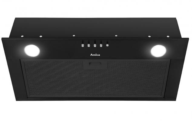 Gartraukis amica omc6241b