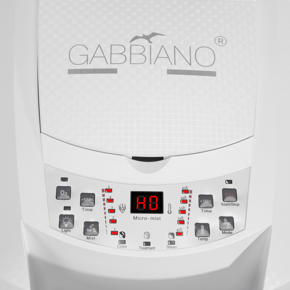 Plaukų priežiūros rinkinys Gabbiano 408D