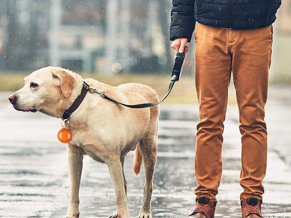 Led švieselė antkakliui su karabinu, oranžinė