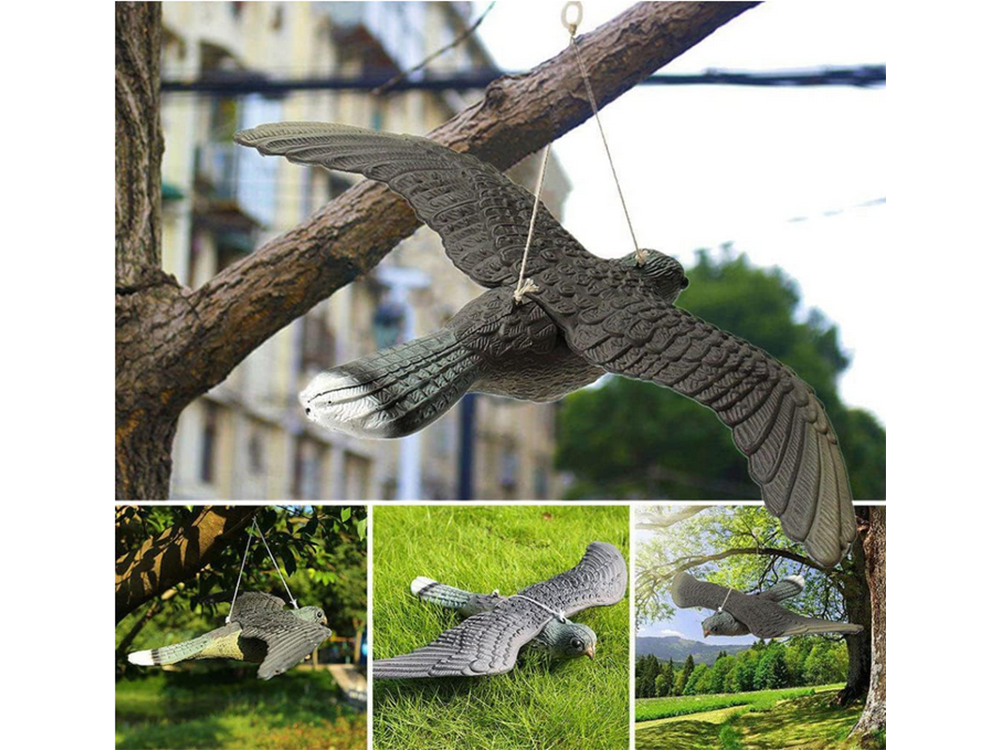 Paukščių ir graužikų baidyklė sakalas, plastikinė