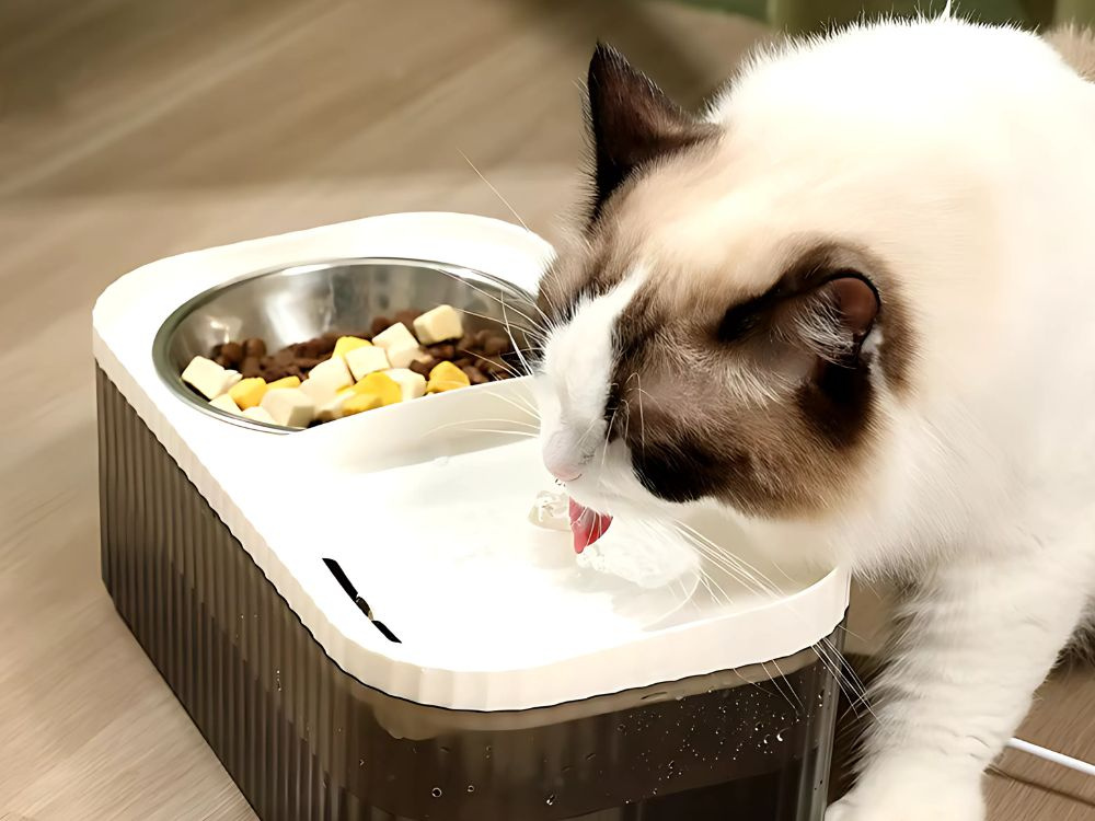 Vandens fontano sistema katėms ir šunims, 3l