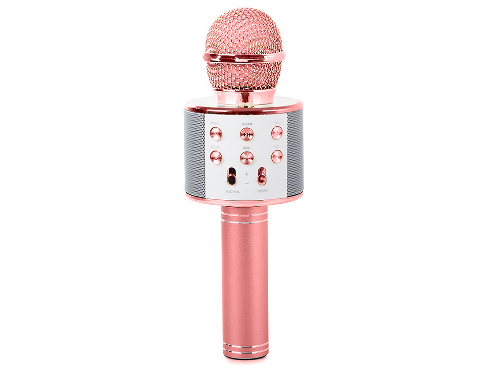 Belaidis mikrofonas su garsiakalbiu ir karaoke funkcija