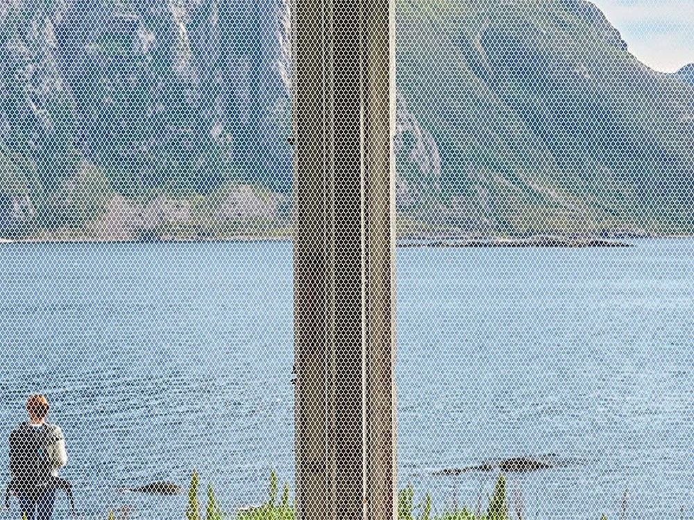 Tinklelis langams ir durims 180x150 cm