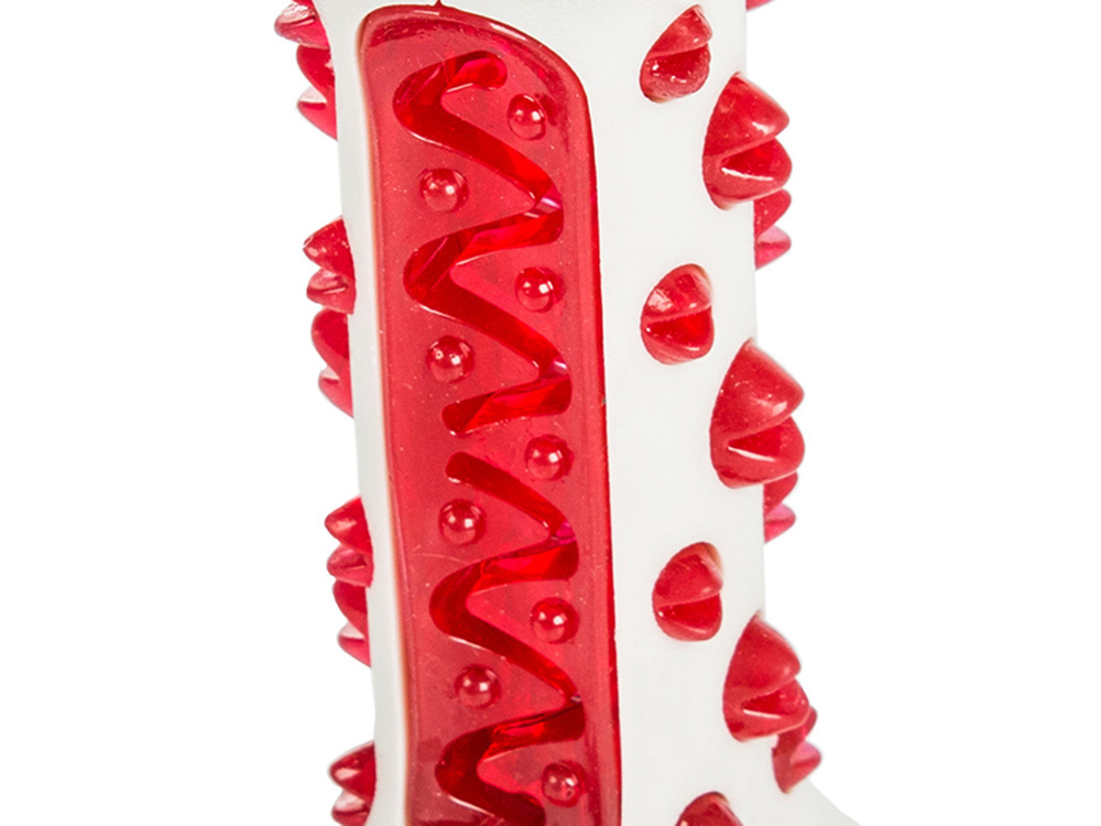 Šuns kramtukas dantų valymui, 15x5,5x5 cm 1