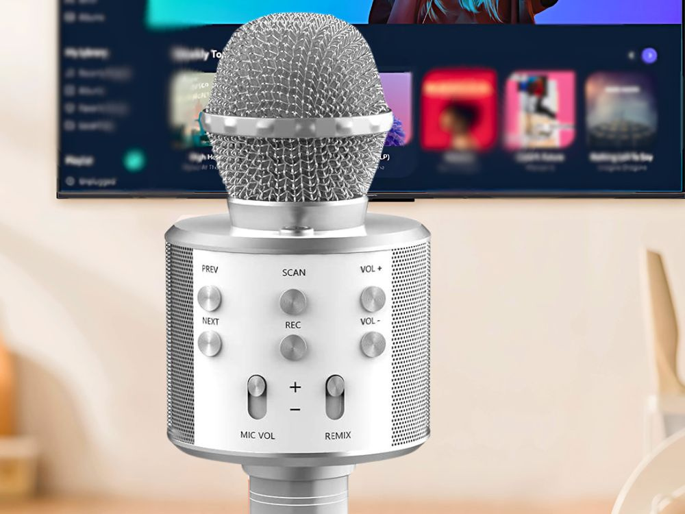 Belaidis mikrofonas su bluetooth ir karaoke garsiakalbiu, 22 cm