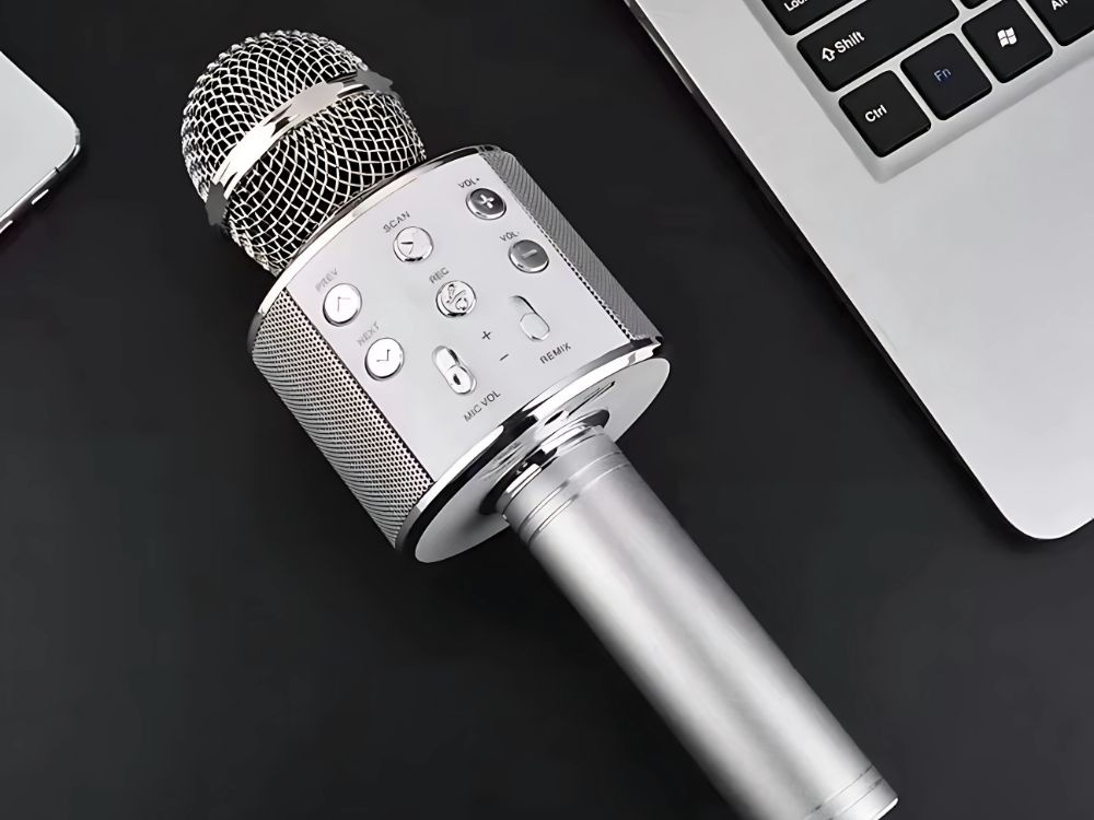 Belaidis mikrofonas su bluetooth ir karaoke garsiakalbiu, 22 cm